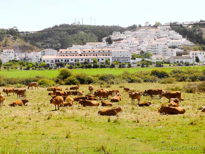 Ocecéixe valley circuit walk Algarve Portugal