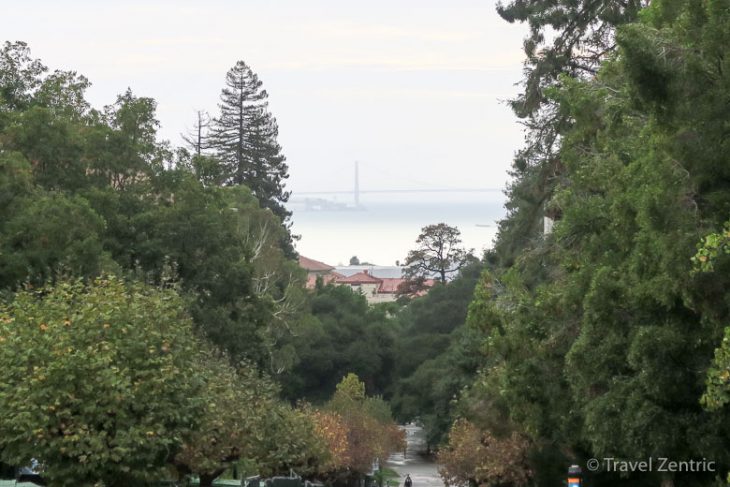 berkeley, campus, view, golden gate bridge