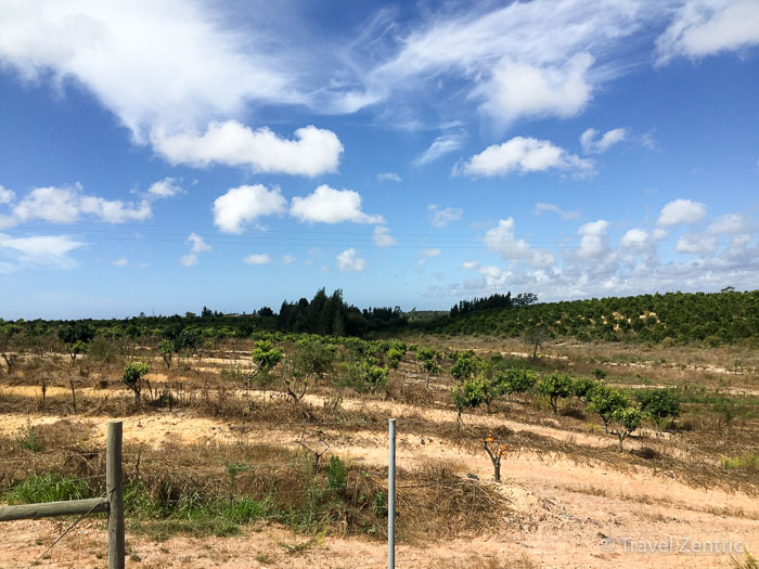 Countryside Alentejo