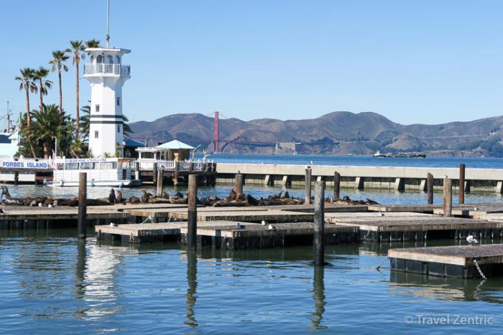 san francisco, golden gate bridge, fisherman's wharf