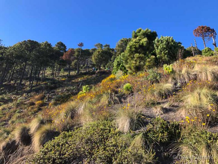 volcano acatenango hiking nature guatemala