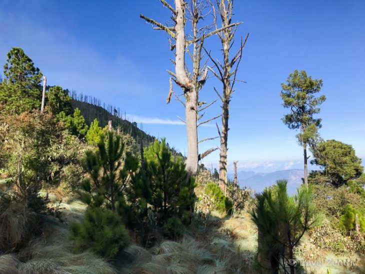 volcano acatenango hiking nature guatemala