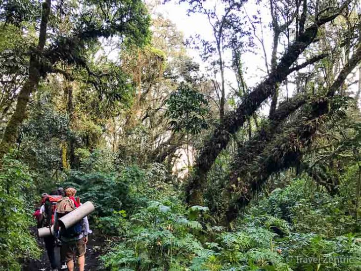 volcano acatenango hiking nature guatemala